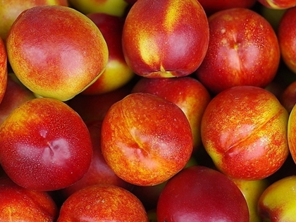 Fresh Nectarine